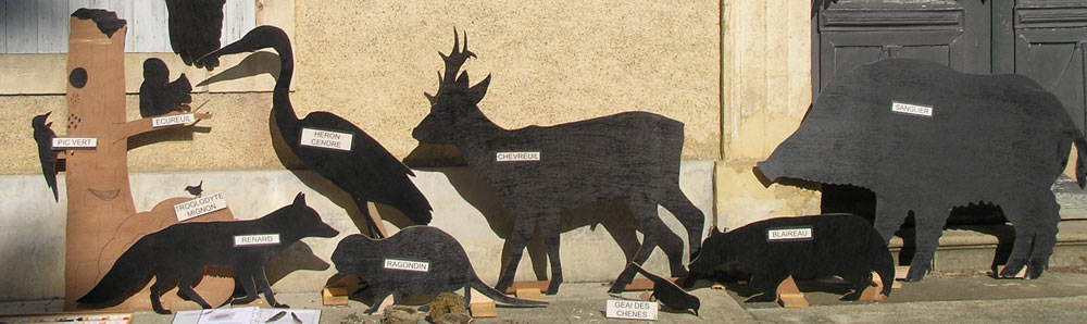 Carnaval des animaux