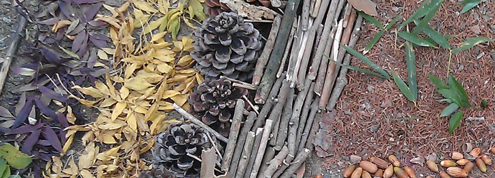 Le printemps est là