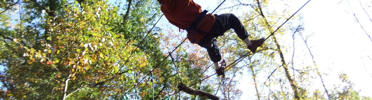 Activité accrobranche