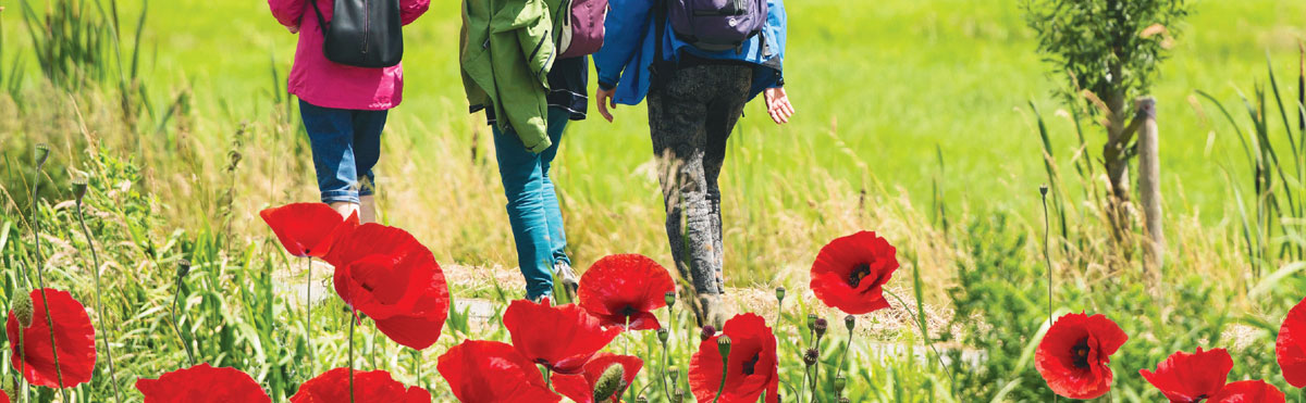 Bandeau balade santé environnement