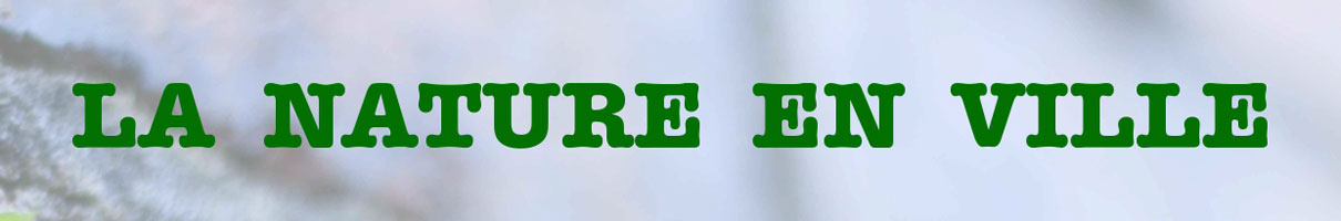 La Nature en Ville