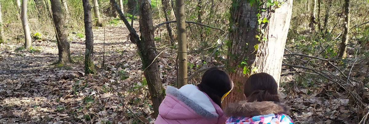 Animation de création dans la forêt