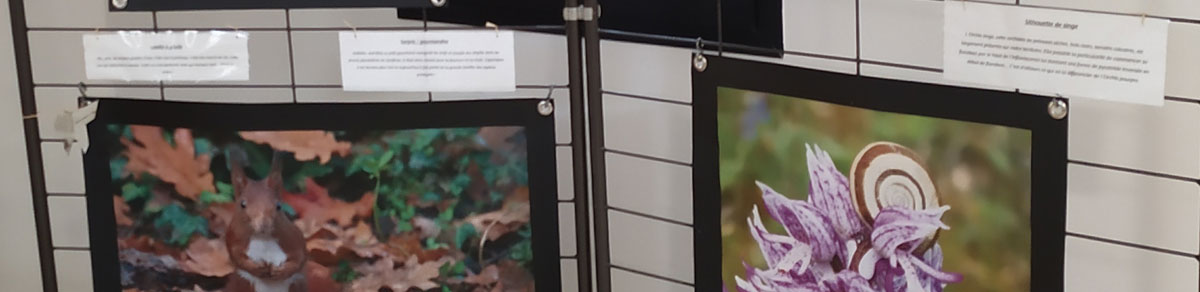 Expo photo Naturographie