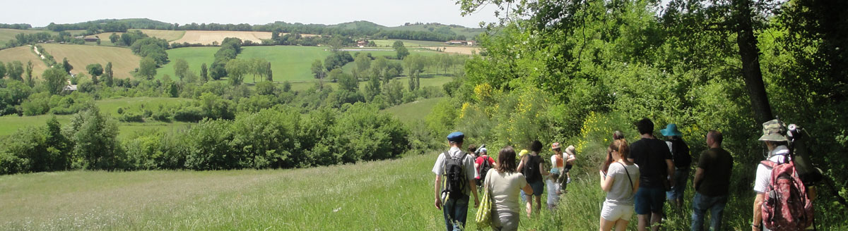 Balade des les champs gersois