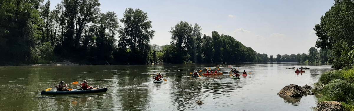Animation canoë